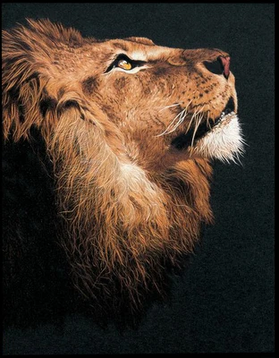 

DIY 100% Mulberry Silk Suzhou Embroidery Sets Printed Patterns Needlework Kits Lion 45*58cm