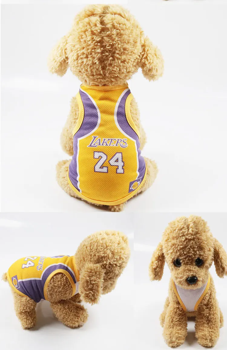 9328602283_1119372358