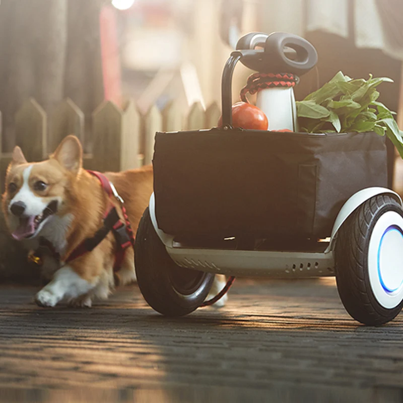 

Xiaomi smart balance hoover board 10inch overboard and oxboard with remote control