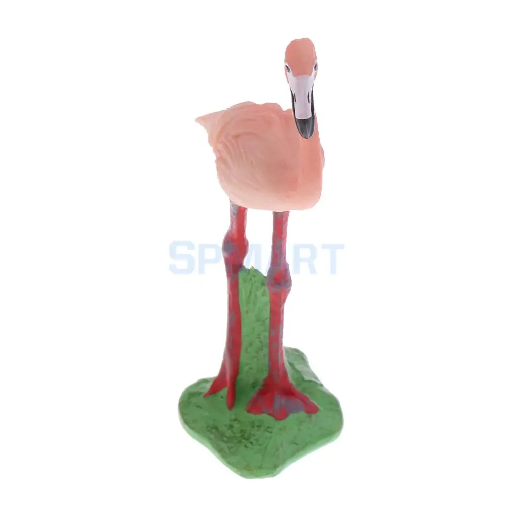 Simulation Wildlife Farm Pet Animal Model Action Figures Figurine Kid Educational Science Nature Toy Home Collectible Decoration