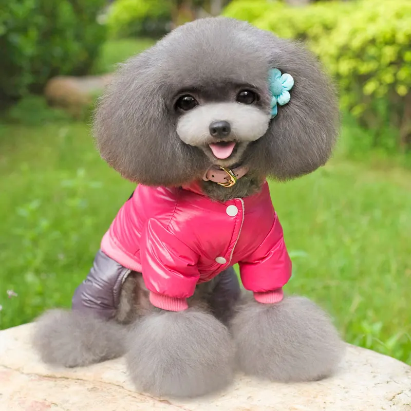 New Clothing Pet Dog Clothes for Pet dog Dog Harness Coat Hoodie Thicken Winter Down Jackets Two Colors S-XXL In stock PT044