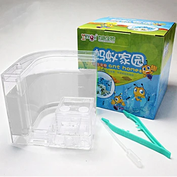 

Popuplar Insect Feeding System Ant Farm For Children Natural Ant Housing Home Workshop Ant Workshop Ant Villa Workshop Castle