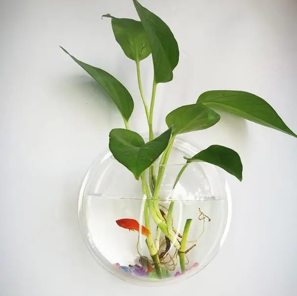 Wholesale 15cm Wall Mounted Clear Acrylic Hanging Aquarium Fish