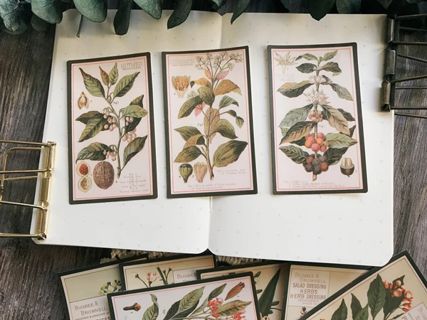 Ksccraft 12 шт. винтажные растения английская иллюстрация бумажные наклейки Скрапбукинг/изготовление открыток/Журнал проект DIY