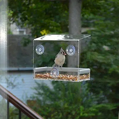 Прозрачное окно Белка Доказательство птица оконная кормушка кормушки для птиц
