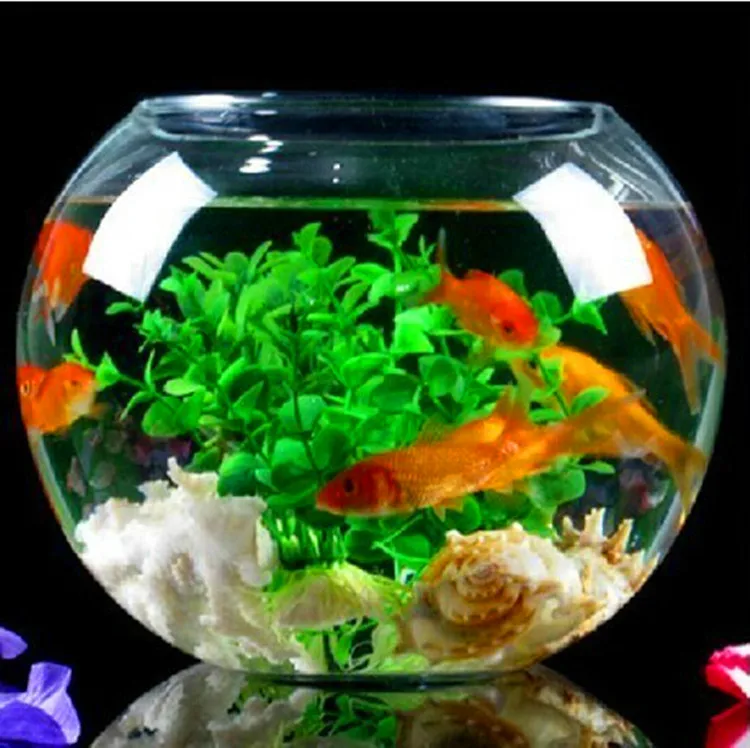 Round glass aquarium goldfish bowl turtle tank hydroponic containers