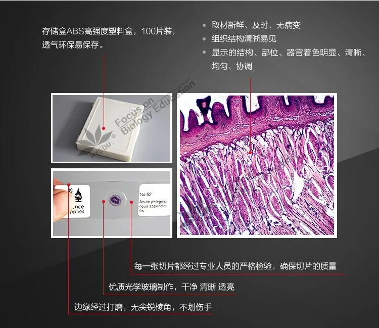 100 шт Профессиональные готовые части патологии человека образцы стеклянные слайды для микроскопа для медицинского университета