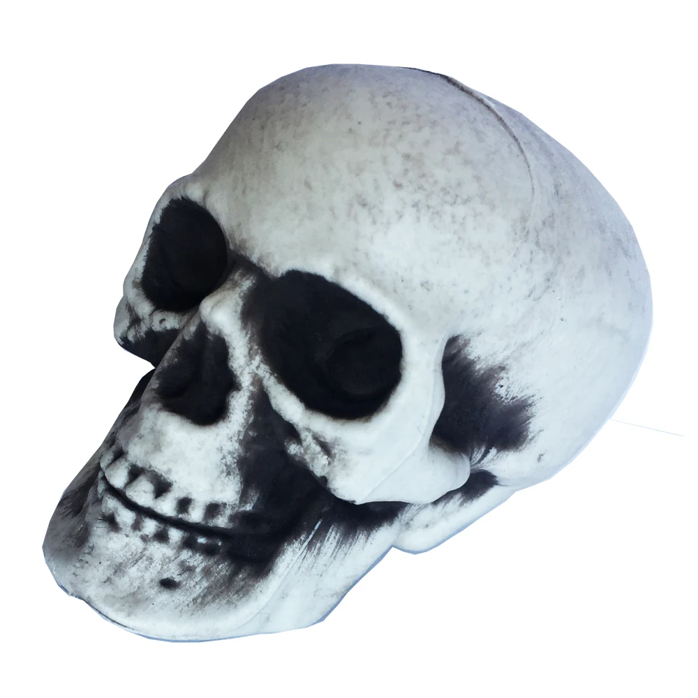 small Skull 2