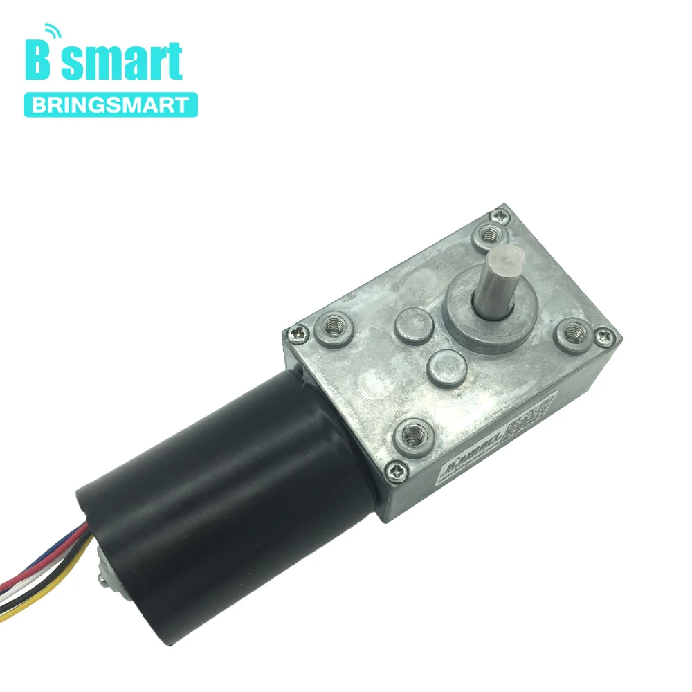 BLDC мотор 5840-3650 12V 24V с бесщеточным двигателем постоянного тока червь Шестерни мотор с реверсивным