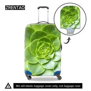 green suicase cover