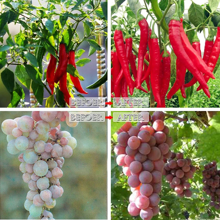 81dQshGUvnL._SL1500_