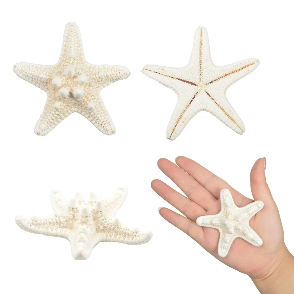20 шт Морская звезда смешанные морские звезды океана пляж для свадебного декора пляж тема вечерние, украшения для дома, DIY ремесла, аквариум