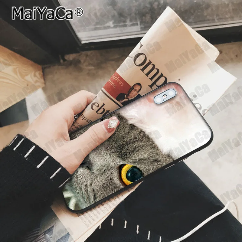 MaiYaCa милый Британский короткошерстный кот Новинка чехол для телефона Fundas чехол для Apple iphone 11 pro 8 7 66S Plus X XS MAX 5S SE XR чехол