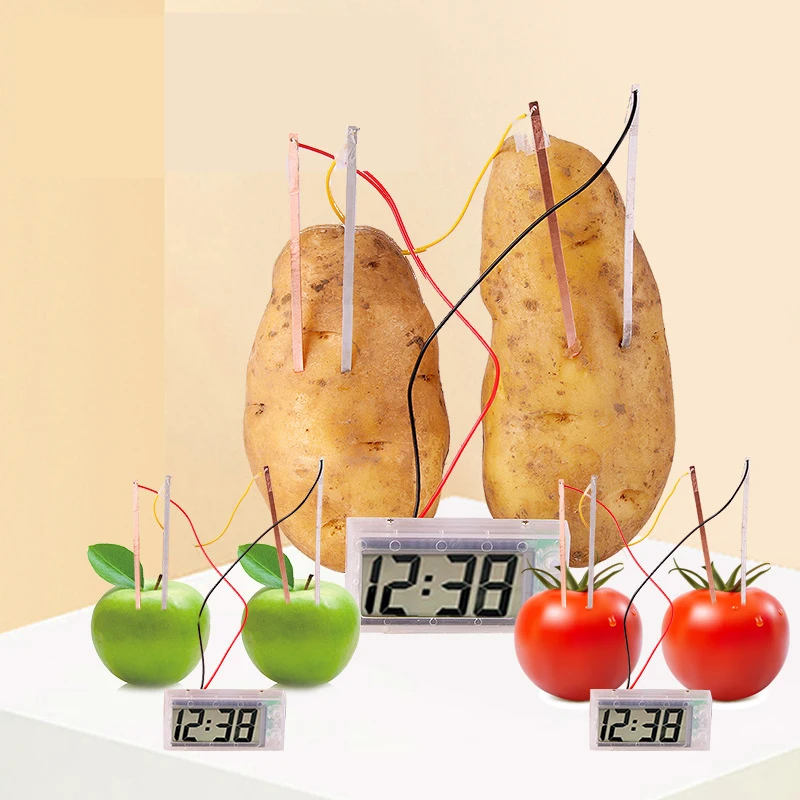 Potato Clock Novel Green Science Project Experiment Kit Lab Home School ToyGREG 