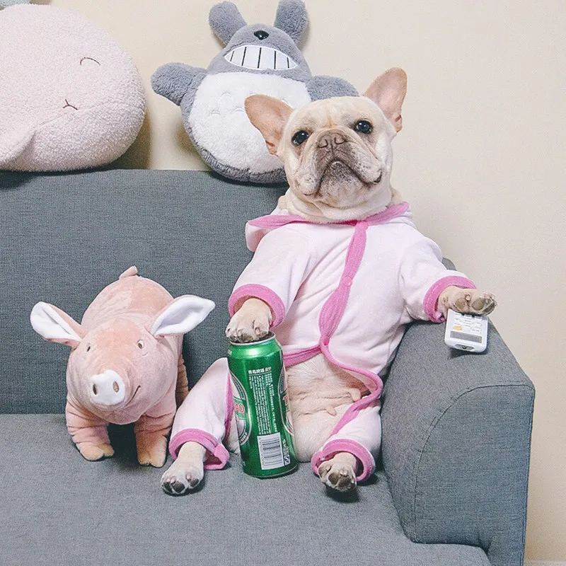 犬眠っおもちゃぬいぐるみテディチワワプレイおもちゃパートナーフレンチブルドッグペット発情おもちゃかわいい面白いペット貯金箱おもちゃ送料無料 Dog Toys Aliexpress