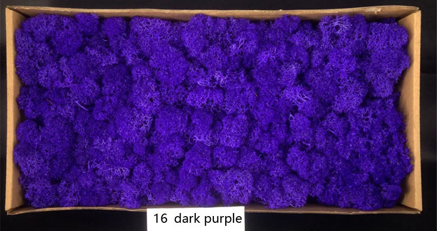500 г, сделай сам, нескончаемый, натуральный, натуральный, настоящий мох, Плант, настенный, разноцветный цветок для дома, свадьбы, декора - Цвет: dark purple