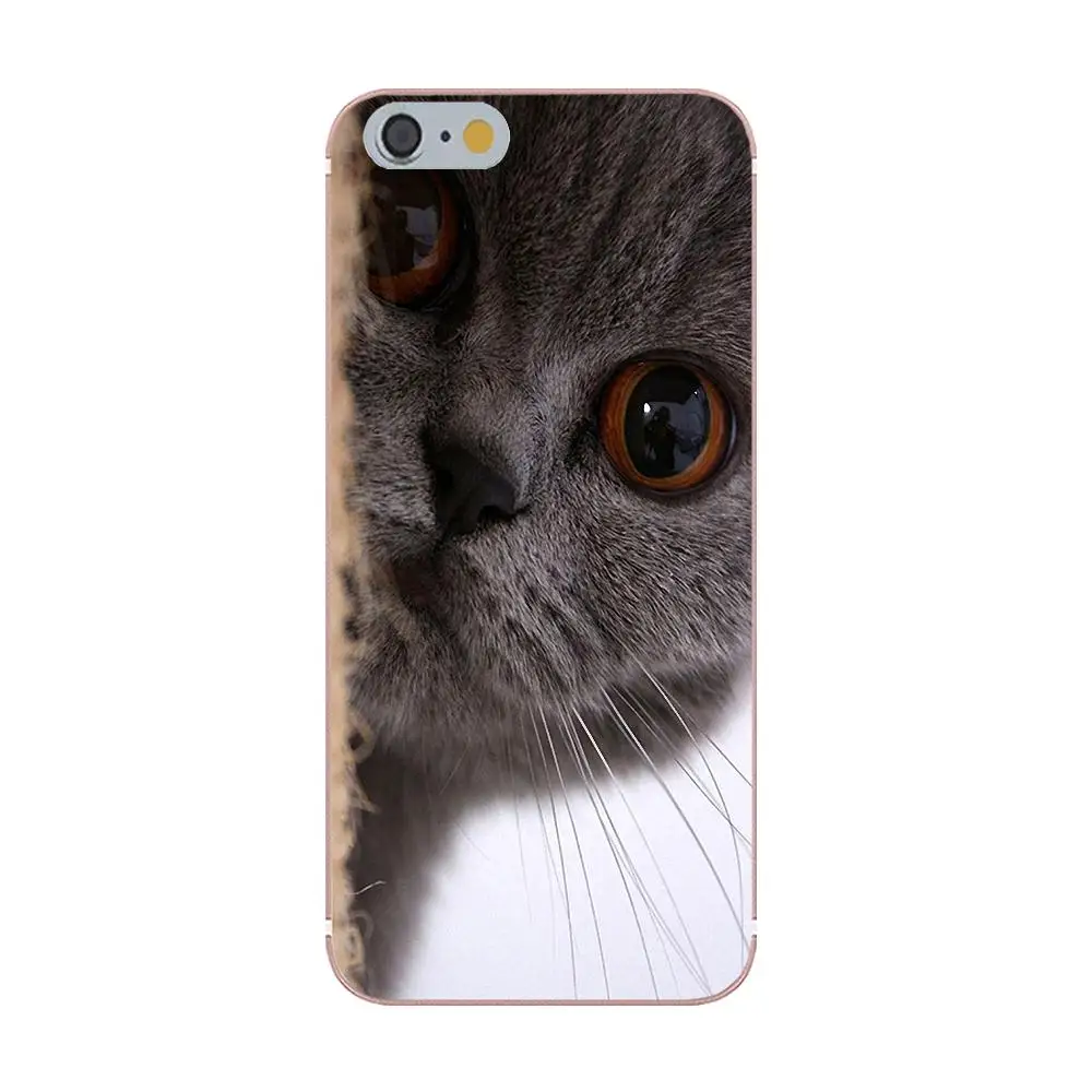 Tpwxnx Funny Grey Cat TPU Phone Cover Case Capa For Sony Xperia Z Z1 Z2 Z3 Z4 Z5 compact Mini Premium M2 M4 M5 T3 E3 E5 XA