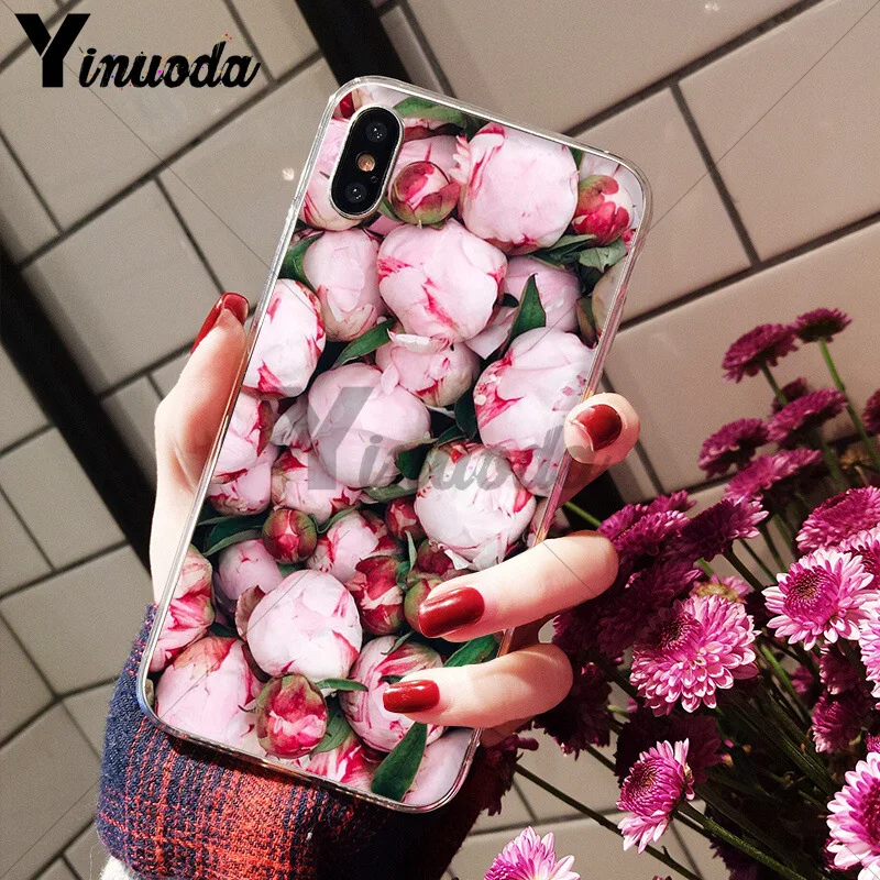 Flower Pink Peonies Peony