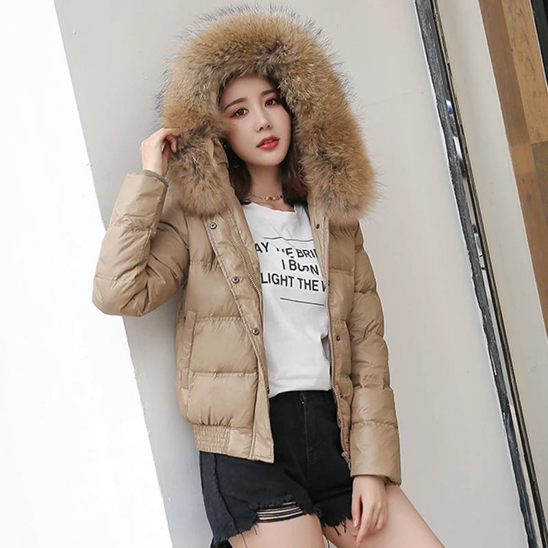 Женский короткий пуховик с капюшоном зимний в Корейском стиле воротником из
