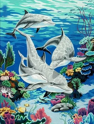 Gambar Ikan Lumba Lumba Untuk Mewarnai Gambar Ikan Lumba Lumba Untuk Mewarnai