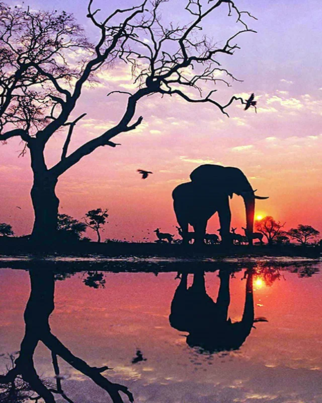 

5D Diy Diamond Painting Cross Stitch Elephant Full Square Diamond Embroidery Sale Rinestones Painting Diamond Mosaic Decor