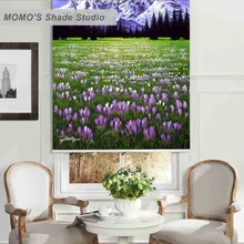 MOMO рождественские рулонные шторы затемненные дизайнерские оконные шторы покраска шторы рулонные шторы тканевые Индивидуальный размер PRB set263-267