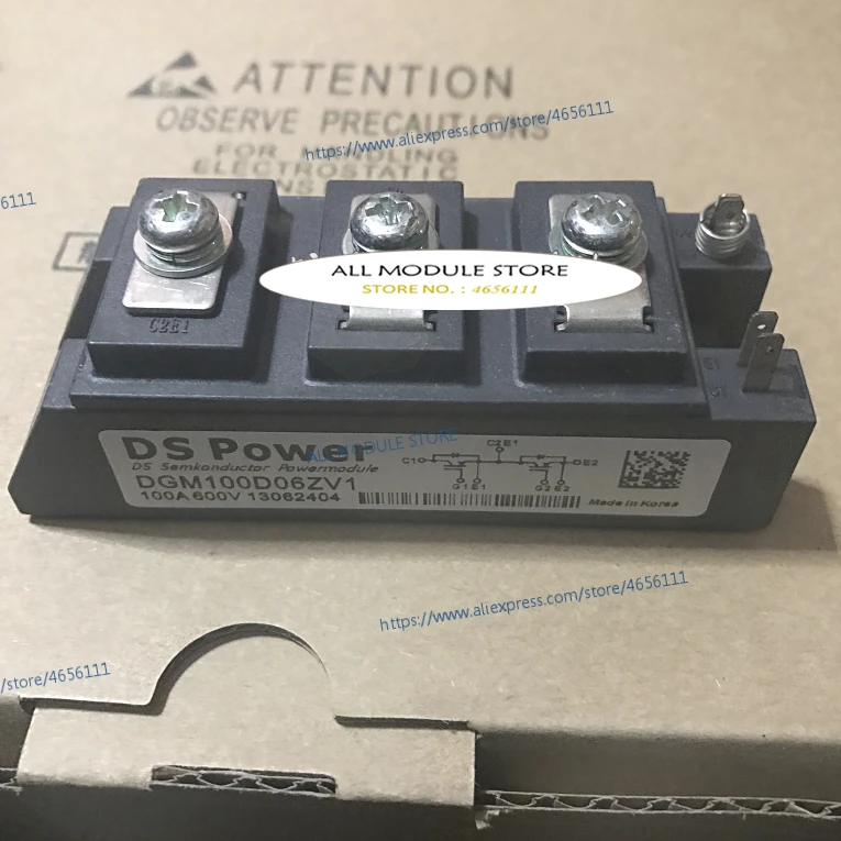 DGM100D06ZV1