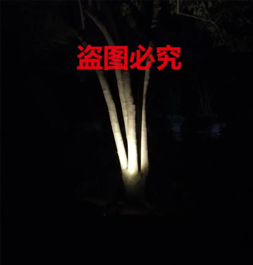 QQ截图20190705103116