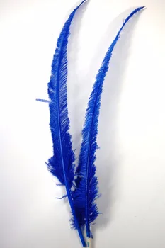 

Free shipping 50pcs/pack royal blue Dyed high quality handmade Nandu ostrich feathers size 18-28inch 45-70cm clipped ostrich