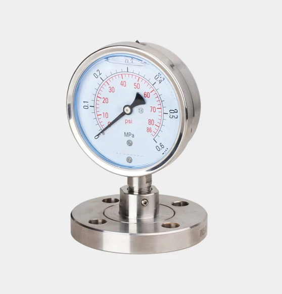 diaphragm pressure gauge2