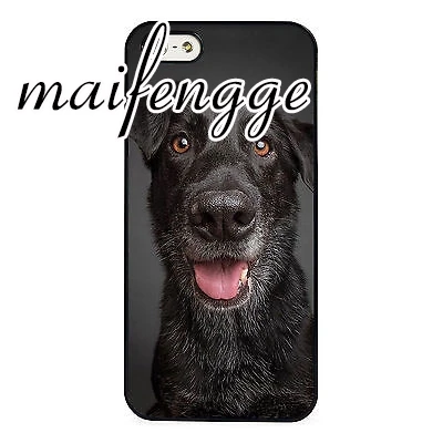 Maifengge Border Collie Lab Dog милый чехол для iPhone 5 6 s 7 8 plus 11 12 Pro X XR XS Max Samsung Galaxy S6 S7 edge S8 S9 |