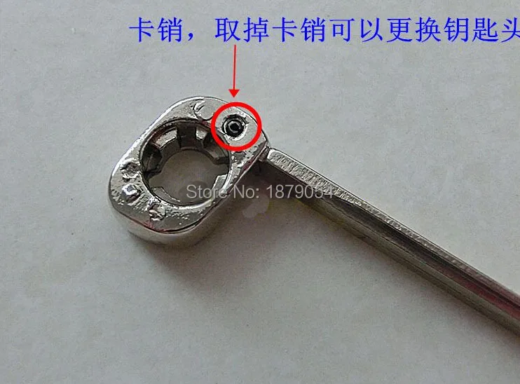 D50 3 (5).jpg