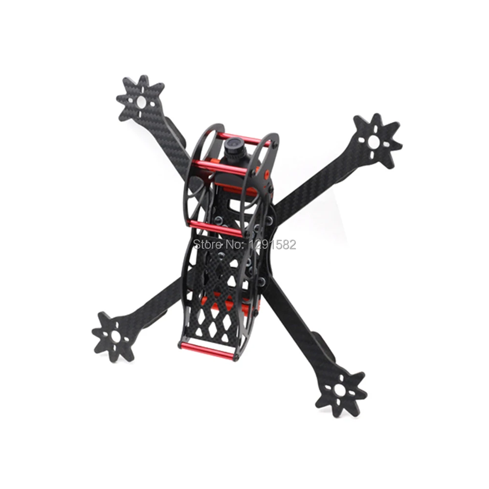 Big-Headed Ant 250mm frame (2)