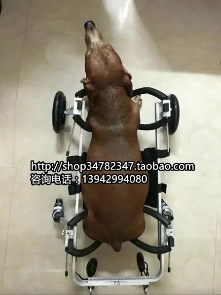 Dog font b wheelchair b font Pet font b wheelchair b font font b disabled
