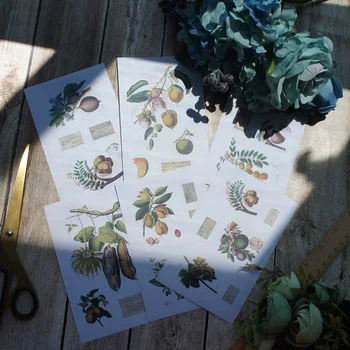 

6 Sheets fruit and flower Retro Design Washi Paper Sticker As Scrapbooking DIY Gift Packing Decoration Tag
