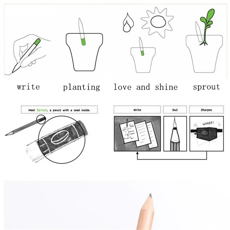 36020181212154328815