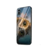 Mobile Phone Accessories