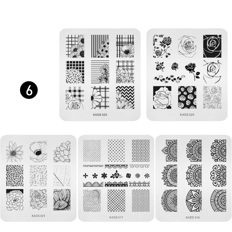6