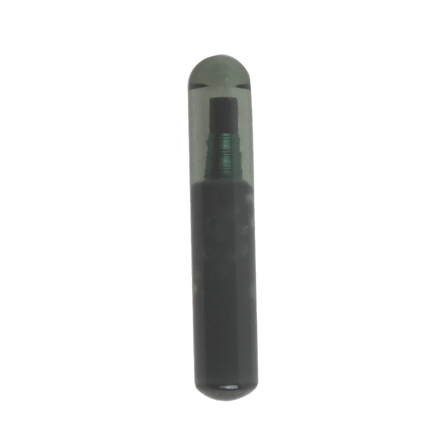 TPX4 1