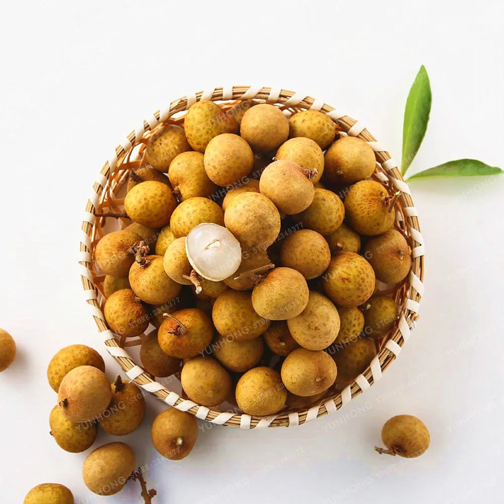 5 Seeds/Pack Dimocarpus Longan Seeds Organic Fruit Dragon Eye Bonsai