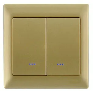Высококачественный электрический z волновой двойной переключатель TZ66D Zwave
