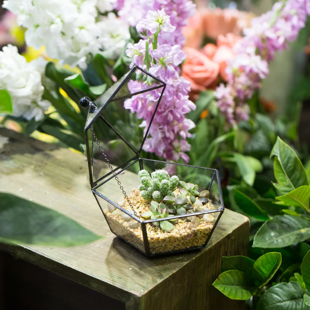 Стеклянный геометрический Террариум кашпо для суккулентов Пентагон бонсай горшок художественный драгоценный камень-коробка цветочный