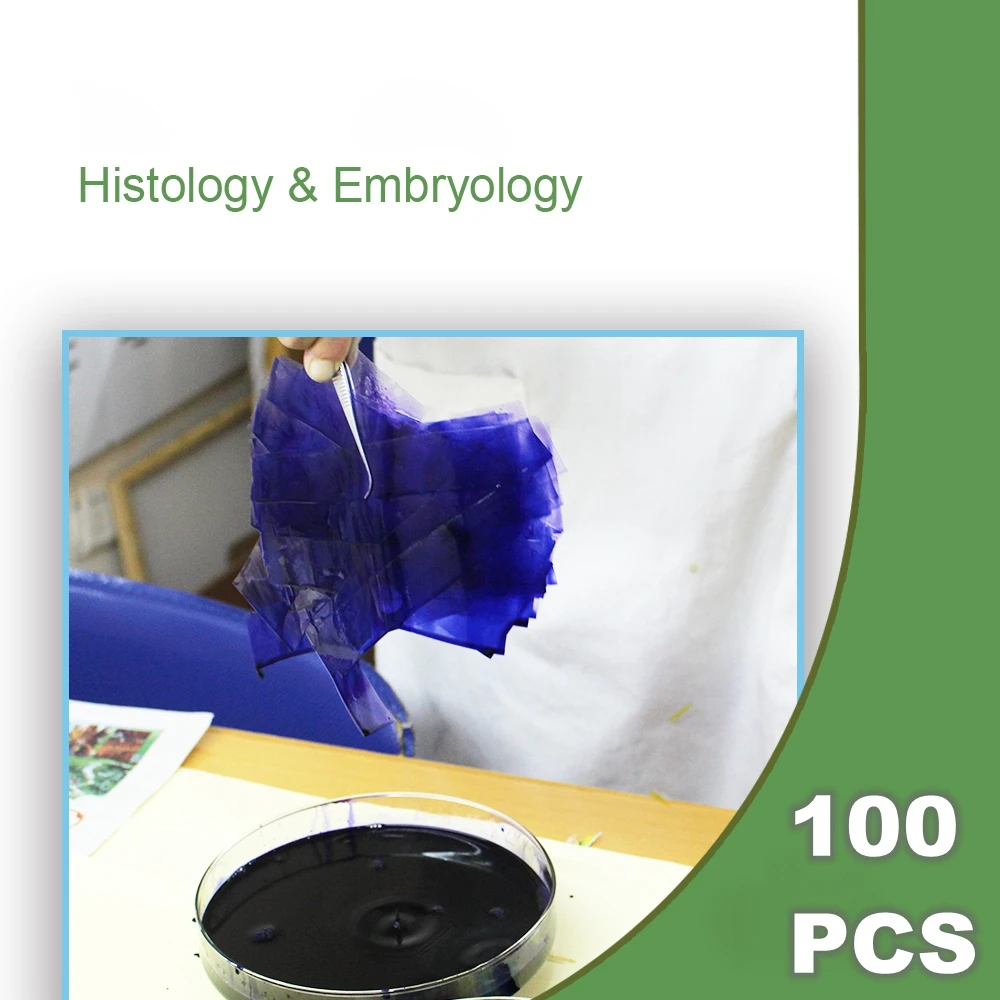 100 шт подготовленная Гистология эмбриолога человека образец раздел микроскопа слайды для биологии исследования