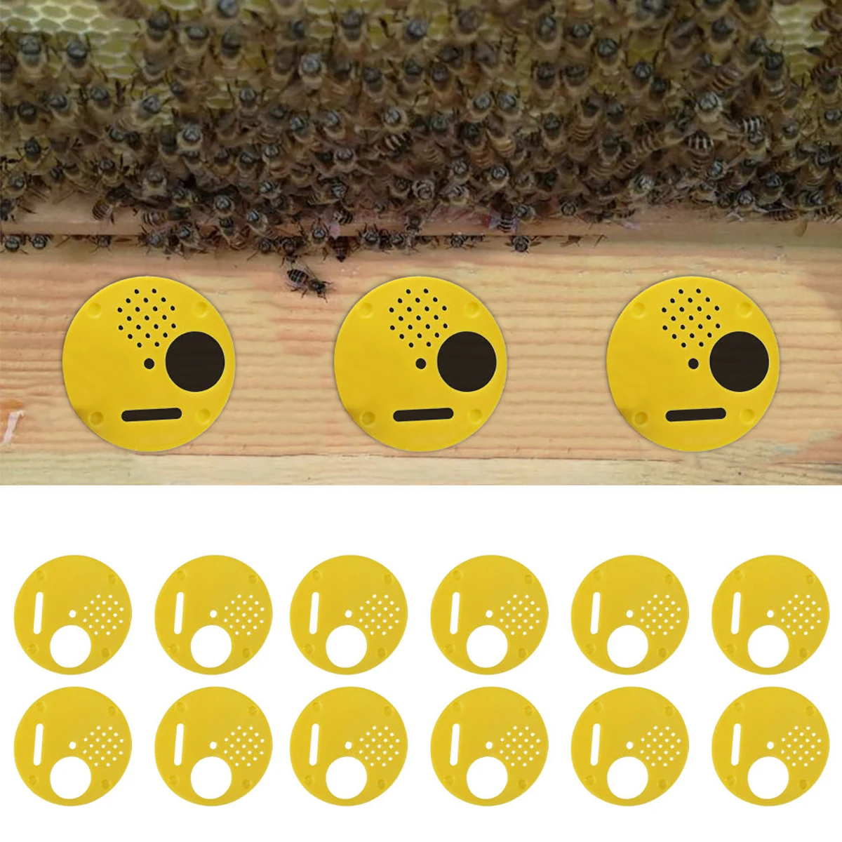 JX-LCLYL 12pcs New Yellow Beekeepers Bee Hive Nuc box Entrance Gates Beekeeping Equipment