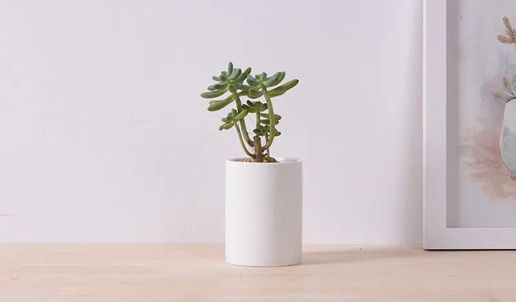 Cylinder shape Flower Pot2