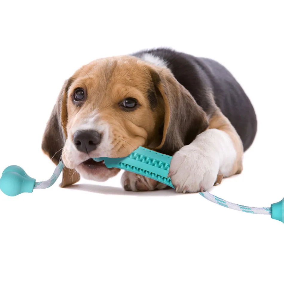 Dogs Dental Sticks Reviews - Online Shopping Dogs Dental