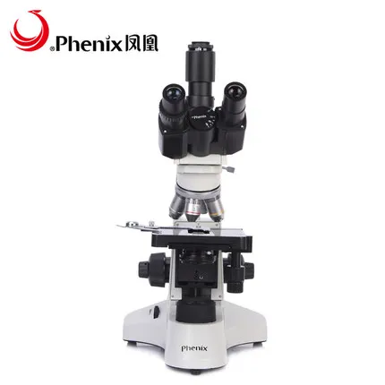 PH50 01