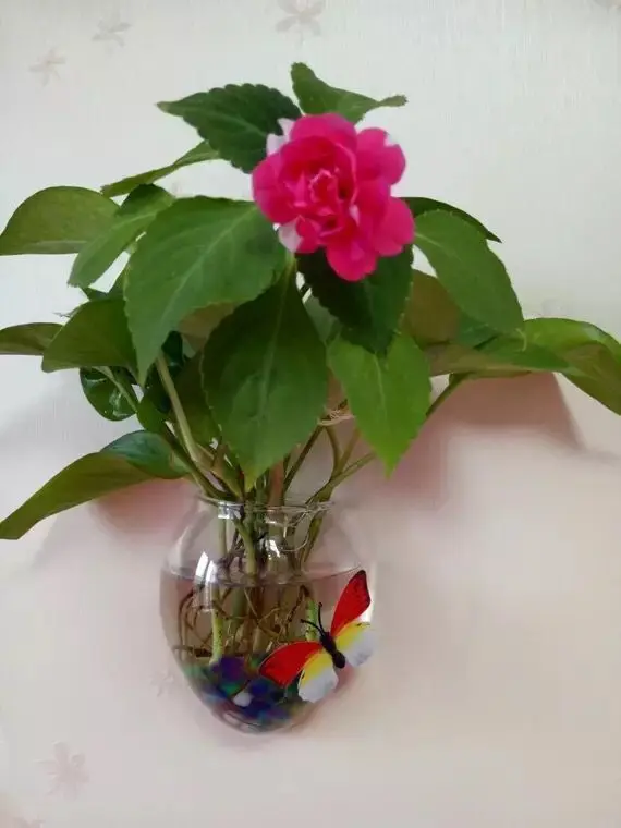 상품 이미지 6
