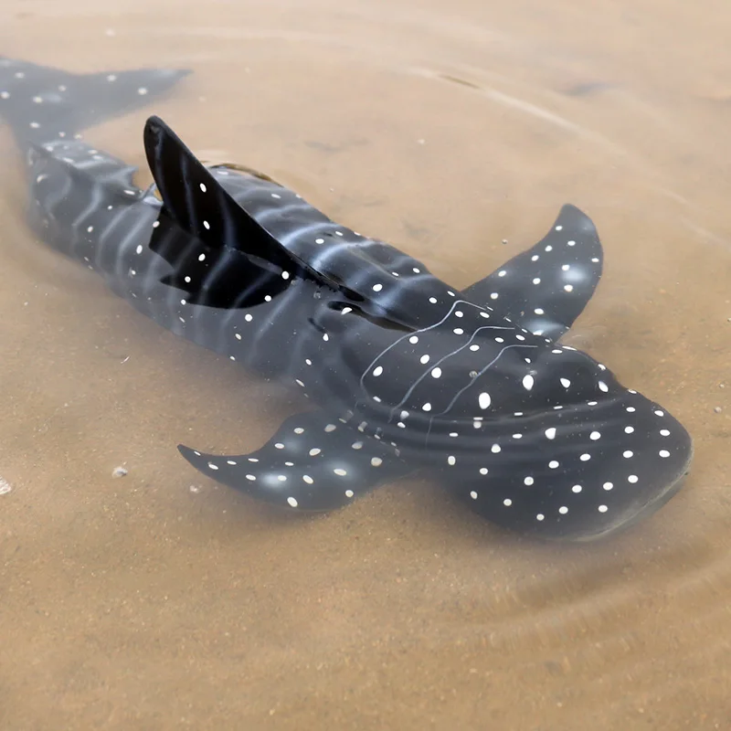 Oenux Морская жизнь Морские животные кит Акула синий кит Кашалот высокое качество фигурка игрушка океан модель животного для ребенка подарок