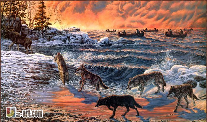 Printing wolf canvas modern picture of wolf prints hang in the office